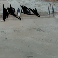 سیاه دم سفید