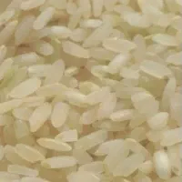برنج کامفیروزی و خرده برنج فجر نورآبادی|خوردنی و آشامیدنی|شیراز, میانرود|دیوار
