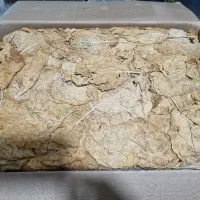 برگ زرد درجه یک. بویری و مهر آباد