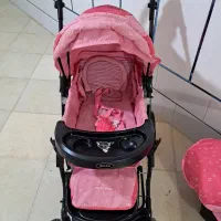 کلاسکه مارک دلیجان