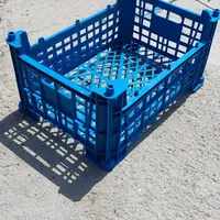 سبد میوه