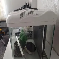 آکواریوم