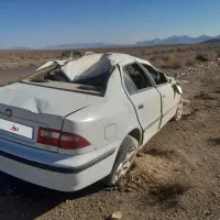 سمند چپی