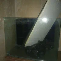 اکواریوم شرکتی سالم