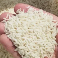 برنج طارم  امساله به شرط پخت