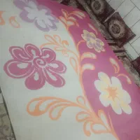 قالی فرش|فرش|داراب, |دیوار