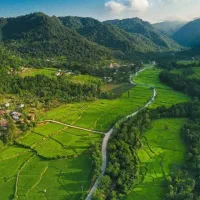 تمیز کاری حیاط های ویلایی و محوطه و باغچه