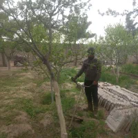 علف زنی با دستگاه