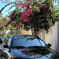 دنا پلاس توربو ۶ دنده بدنه سرامیک