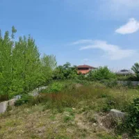 زمین ۳۰۰متری با کاربری مسکونی|فروش زمین و ملک کلنگی|املش, |دیوار