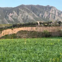 خانه مسافر نیلکوه گلستان|اجارهٔ کوتاه‌مدت آپارتمان و سوئیت|گالیکش, |دیوار