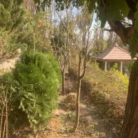 فروش باغ ویلا کردان