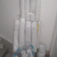 ظرف یک بار مصرف