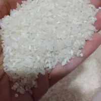 برنج نیم دانه