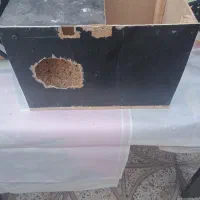 سلام لانه عروس هلندی فروش فوری