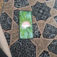 نوت۱۳شیامی