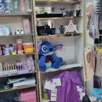 دکور مغازه و دو عدد رگال