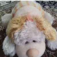 عروسک های زیبا