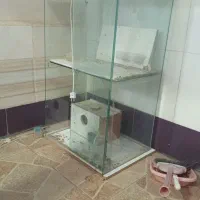 قفس پرنده|لوازم جانبی حیوانات|اهر, |دیوار