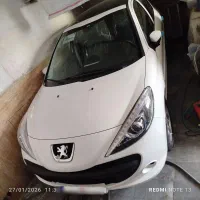 207 دنده پانا خشک