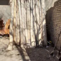 تیر چوبی انواع چوب