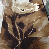 گلیم فرش ۹ متری کاملا نو