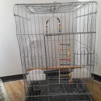 قفس پرنده