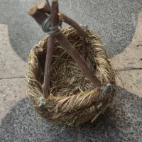 چال پرنده