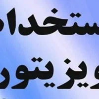 استخدام ویزیتور