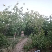 زمین کفسان  توضیحات رو بخونید