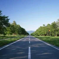 مسافر برای یزد