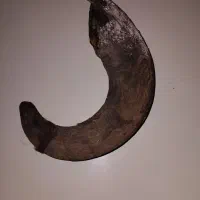 شاخ|کلکسیون و سرگرمی|ساروق, |دیوار