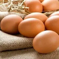 تخم مرغ محلی