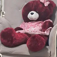 خرس|اسباب‌بازی بچه|لنگرود, |دیوار