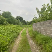 زمین ۵۰۳ مسکونی در لاکان شهر جنب مهندسین گیل|فروش زمین و ملک کلنگی|رشت, لاکان شهر|دیوار