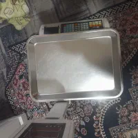 ترازو ۶۰کیلویی ایستا