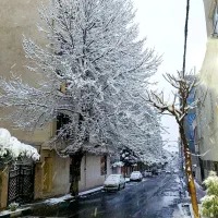 ۳۰۰ متر دونبش بالای جلال|فروش زمین و ملک کلنگی|تهران, امیرآباد|دیوار