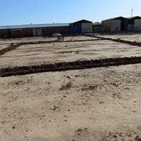 زمین کارگاهی و سوله|فروش دفتر صنعتی، کشاورزی، تجاری|پاکدشت, پاکدشت (مامازند)|دیوار