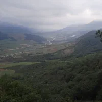 تور تنگ دار