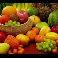 نیرو(با جای خواب)