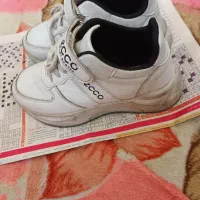 کتونی بچه گانه