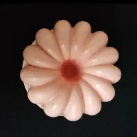 قالب ژله فقط ۱۰۰|ظروف نگهدارنده، پلاستیکی، یک‌بارمصرف|قم, نیروگاه|دیوار