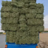 یونجه انباری درجه یک