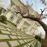 عمارت ،عقد و عروسی