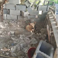 پارچه پیراهنی دارم میفروشم