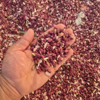 لوبیا قرمز لپه|خوردنی و آشامیدنی|مرودشت, ولایت|دیوار