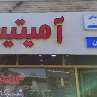 دوربین و دزدگیر آمیتیس