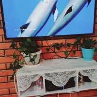 تلویزیون ال ای دی|تلویزیون و پروژکتور|تهران, شمیران‌نو|دیوار