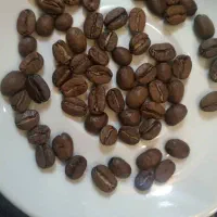 پخش عمده قهوه