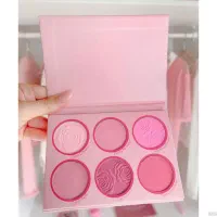 رژگونه شیگلم، نو